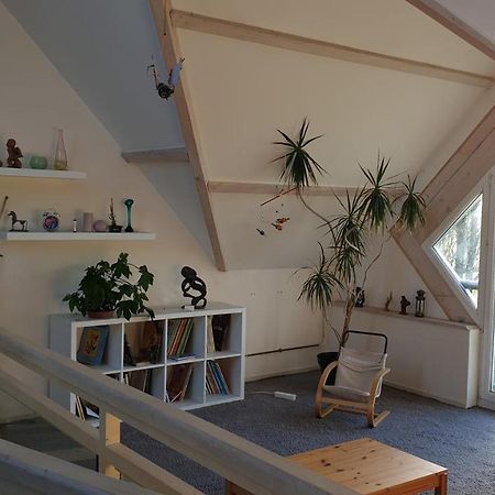 Grande Maison Avec Spa Proche De Caen Et De La Mer Brouay Exteriér fotografie